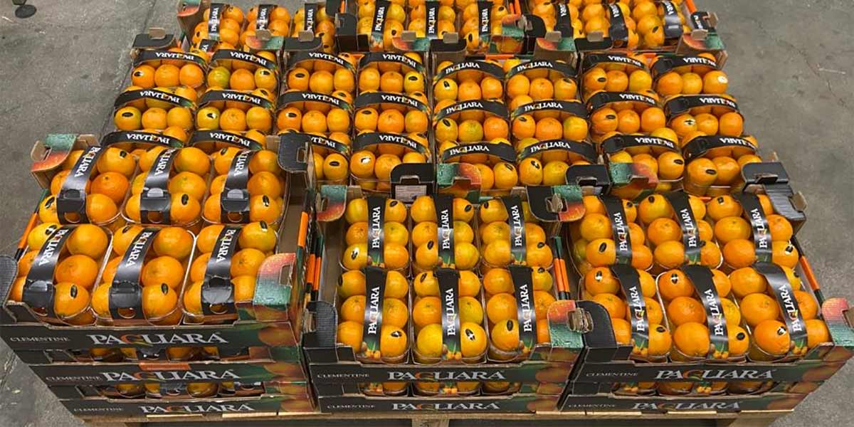 Clementine, tra energia elettrica e fertilizzanti i costi lievitano del 20-30%